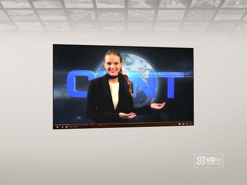 Chint Electrics Video